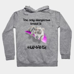 The only dangerous breed is HUMANS! Hoodie